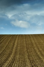 A plowed field displays parallel lines of tilled soil, stretching towards a vast blue sky adorned