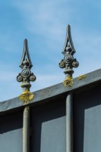 An iron fence with intricate finials stands against a bright blue sky, showcasing yellow-green moss