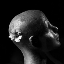 A sculpted head features an abstract form and textured surface, with a delicate flower delicately