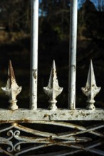 A close view of a vintage iron gate featuring decorative spikes, showcasing rust and wear over time