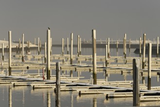 Winter day, onset of winter, morning sun shining on the snow-covered jetties in the marina, North