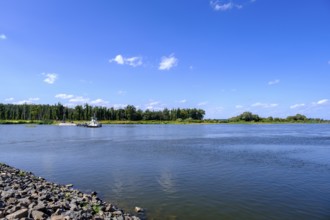 Yaw rope ferry, car ferry across the Elbe near Havelberg, Werben, Saxony-Anhalt, Germany