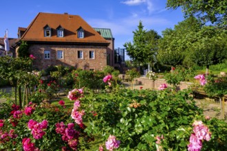 Rosengarten and Roman Museum Obernburg, am Main, Lower Franconia, Franconia, Germany