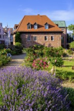 Rosengarten and Roman Museum Obernburg, am Main, Lower Franconia, Franconia, Germany