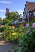 Rose Garden and Roman Museum, Almosenturm, Obernburg, am Main, Lower Franconia, Franconia, Germany