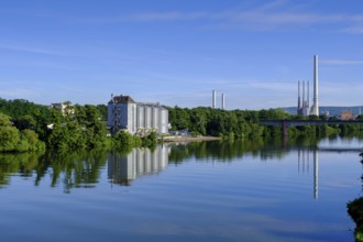 Main near Obernburg, Lower Franconia, Franconia, Germany