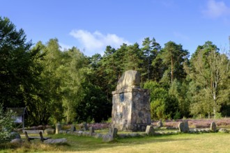 Hermann Löns monument, heath on Wietzer Berg, broom heather blossom, Südheide, Lüneburg Heath, near