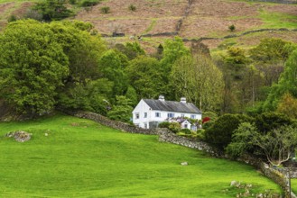 Farms in Lake District National Park, Cumbria, England, United Kingdom