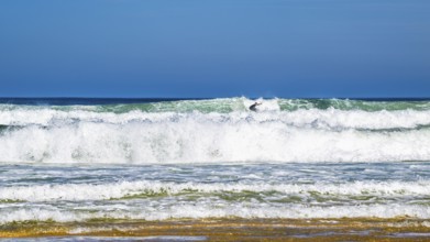 Surfer riding a wave on Contis beach, Saint Julien en Born, Saint-Julien-en-Born, Landes, France