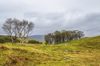 Farms over Loch Slapin, Isle of Skye, Scotland, UK
