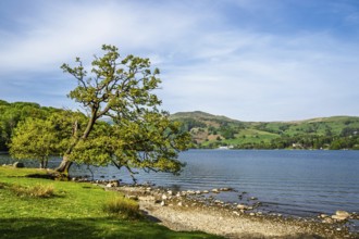 Lake Windermere, Wray Castle, Ambleside, Lake District, Cumbria, England, United Kingdom