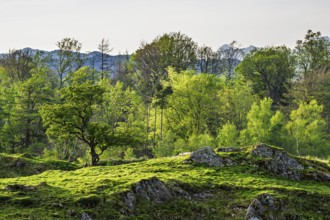 Mountains in Lake District National Park over Coniston Water, Cumbria, England, United Kingdom