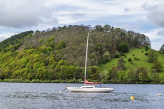 Boats on Ullswater Lake, Pooley Bridge, Lake District National Park, Cumbria, England, United