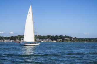 Boats on seaside in Poole, Dorset, England, United Kingdom