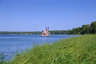 Paddle steamer Queen Arendsee on the Arendsee, Altmark, Saxony-Anhalt, Germany