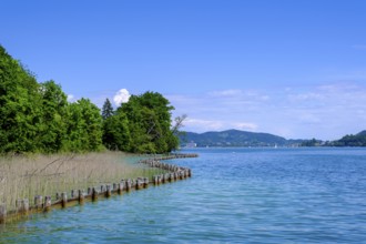 North shore, on Lake Lake Wörth, near Töschling, Carinthia, Austria