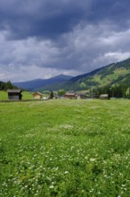Sesto, Dolomites, Val Pusteria, South Tyrol, Italy