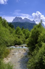 Fischleinbach in Val Fiscalina, Bad moss near Sesto, Dolomites, Val Pusteria, South Tyrol, Italy