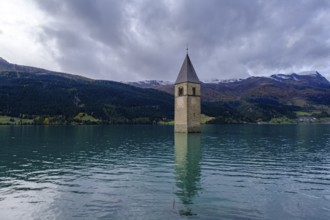 Church tower in Lake Reschen, Graun, Reschen, Vinschgau, South Tyrol, Alto Adige, Italy