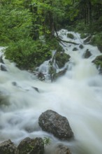 Roaring Weißbach after summer rain near Inzell