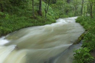 Magical waterfalls in the Weißbachtal valley near Inzell after heavy rain