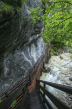 Natural beauty of the Alps, the Innersbachklamm gorge near Unken in Austria