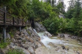 Natural beauty of the Alps, the Innersbachklamm gorge near Unken in Austria