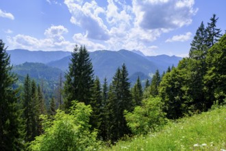 View from the Reichsteinalm, above the Erzherzog Johann Klause, on the Malerschlag - Valeppstraße,