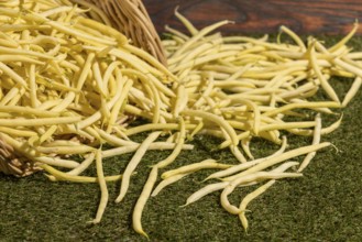 Yellow beans spread over grass, overturned basket