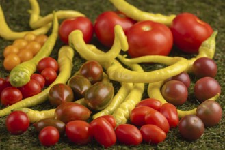 Varied arrangement of tomatoes and peppers on green grass