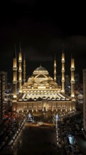 Large Muslim Mosque at night