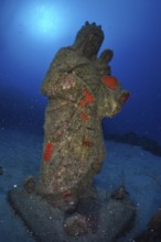 An overgrown statue of the Madonna stands on the seabed. Dive site Cueva de las Morenas, Palm Mar,