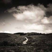 A winding path cuts through an expansive field leading toward a distant forested hill. Auvergne