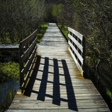 A tranquil wooden boardwalk leads through the park, bordered by lush greenery and trees. Sunlight