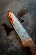 A worn knife with a rusty blade and wooden handle rests on a dark, textured surface. Traces of red