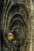 Detailed view of weathered wood reveals beautiful patterns and textures formed by years of natural