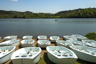 Rowboats rest neatly along the sandy shore of a tranquil lake surrounded by lush greenery. Puy de