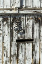 A door made of weathered wooden planks showcases peeling blue paint and a decorative metal handle,