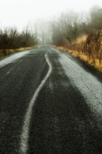 A winding road stretches through a fog-covered landscape, framed by bare trees and dry grass. Puy