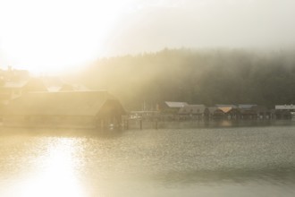 Mystical morning at Königssee in Schönau with boathouses. Sunrise and beautiful wafts of mist over