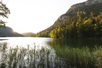 Sunrise in summer at Lake Thumsee near Bad Reichenhall