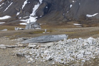 Broken wooden boat in front of hunting hut, wooden hut, bones of white whale (Delphinapterus