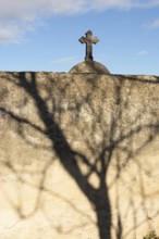 A striking shadow of a tree stretches across a weathered stone wall, while a cross is visible atop