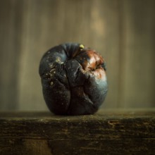 A wrinkled and overripe apple rests on a rustic wooden surface, showcasing a blend of deep colors