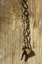 A close-up view of a wooden fence features a rusty chain and locked padlock. The sunlight enhances