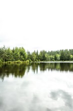 A peaceful lakeside scene showcases vibrant green trees surrounding a serene body of water. Puy de