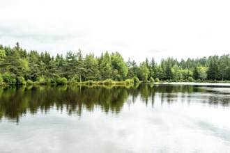 A peaceful lakeside scene showcases vibrant green trees surrounding a serene body of water. Puy de