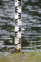 Level staff, scale, water, water level, Germany, Vertical level staff with 2cm E-scale for