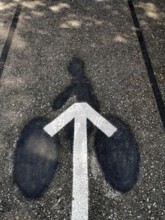 A well-defined bicycle lane marking stands out on the paved pathway, enhanced by the shadow of