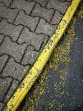 A detailed view of a worn yellow-painted curb next to a cobblestone path, surrounded by scattered
